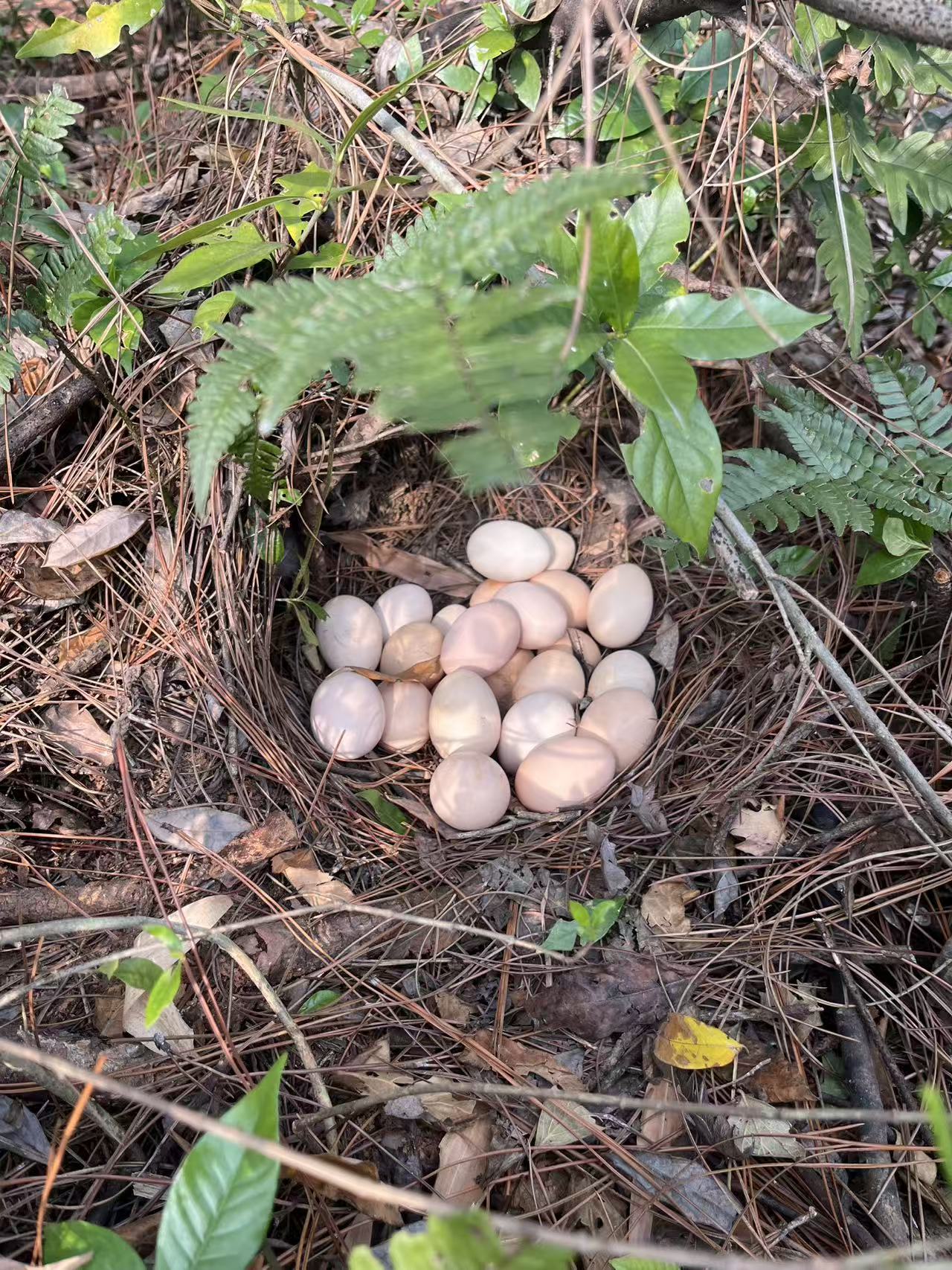 ca28414c9b4197344f1cd61a161787d9.jpg ca28414c9b4197344f1cd61a161787d9.jpg