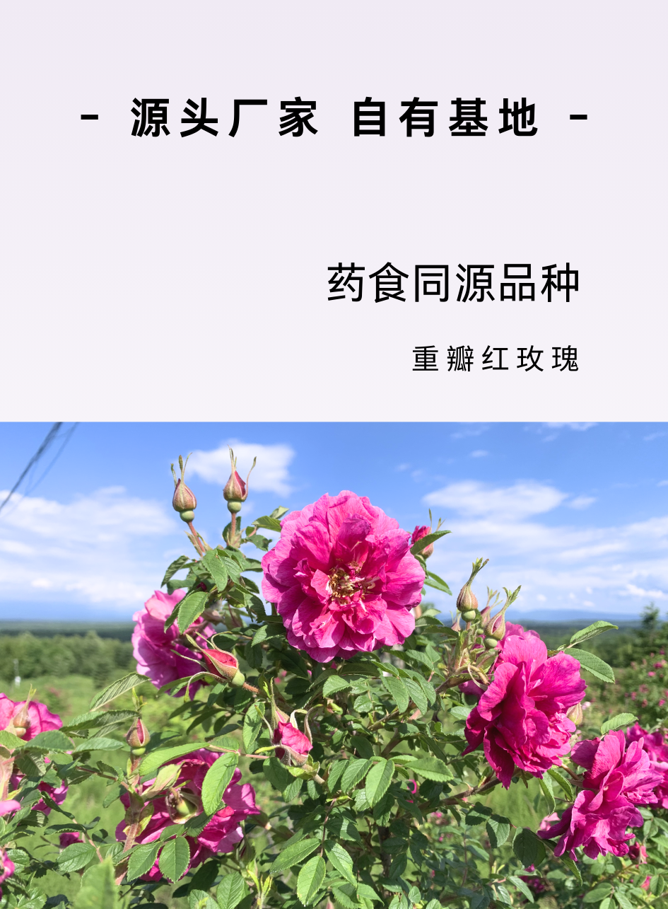 4a2ccbfb804efa7c9cd719058cdd5802.png
