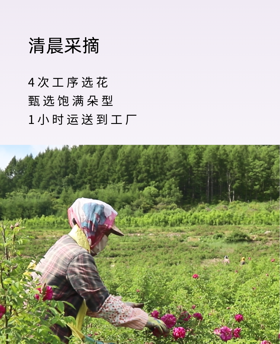 58c2ef345cb45bf51fb60ebd59adf037.png