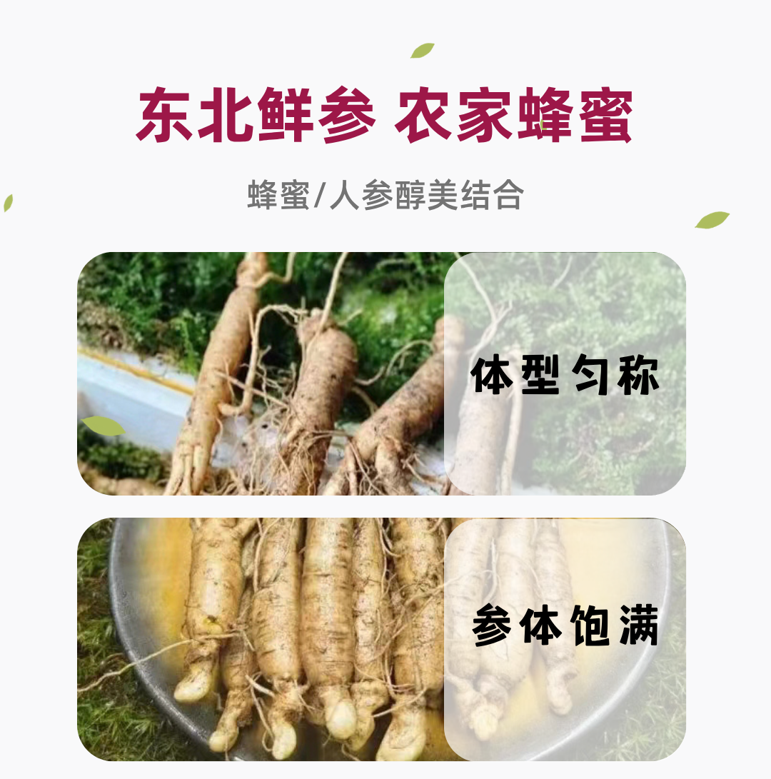 6d3f5e39d02db6cc230b1e73d9366c75.png