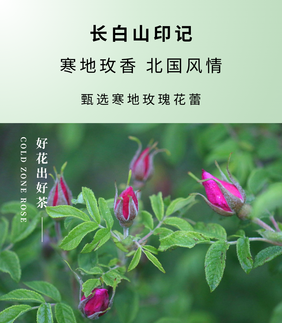 6e8240b3493467c385811e1aefec4497.png