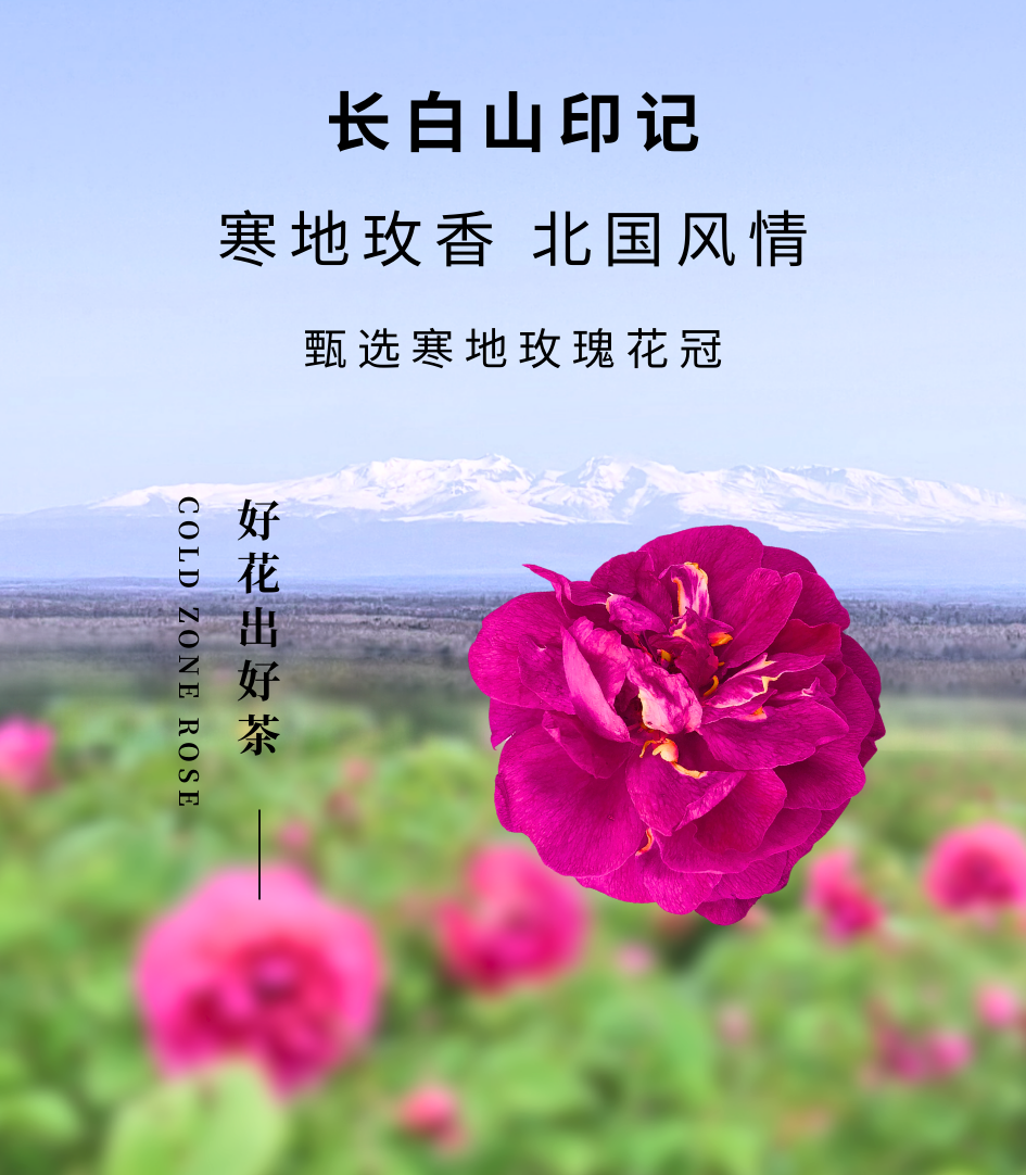 95807b7fadc871f71245d20a6eaac7ea.png