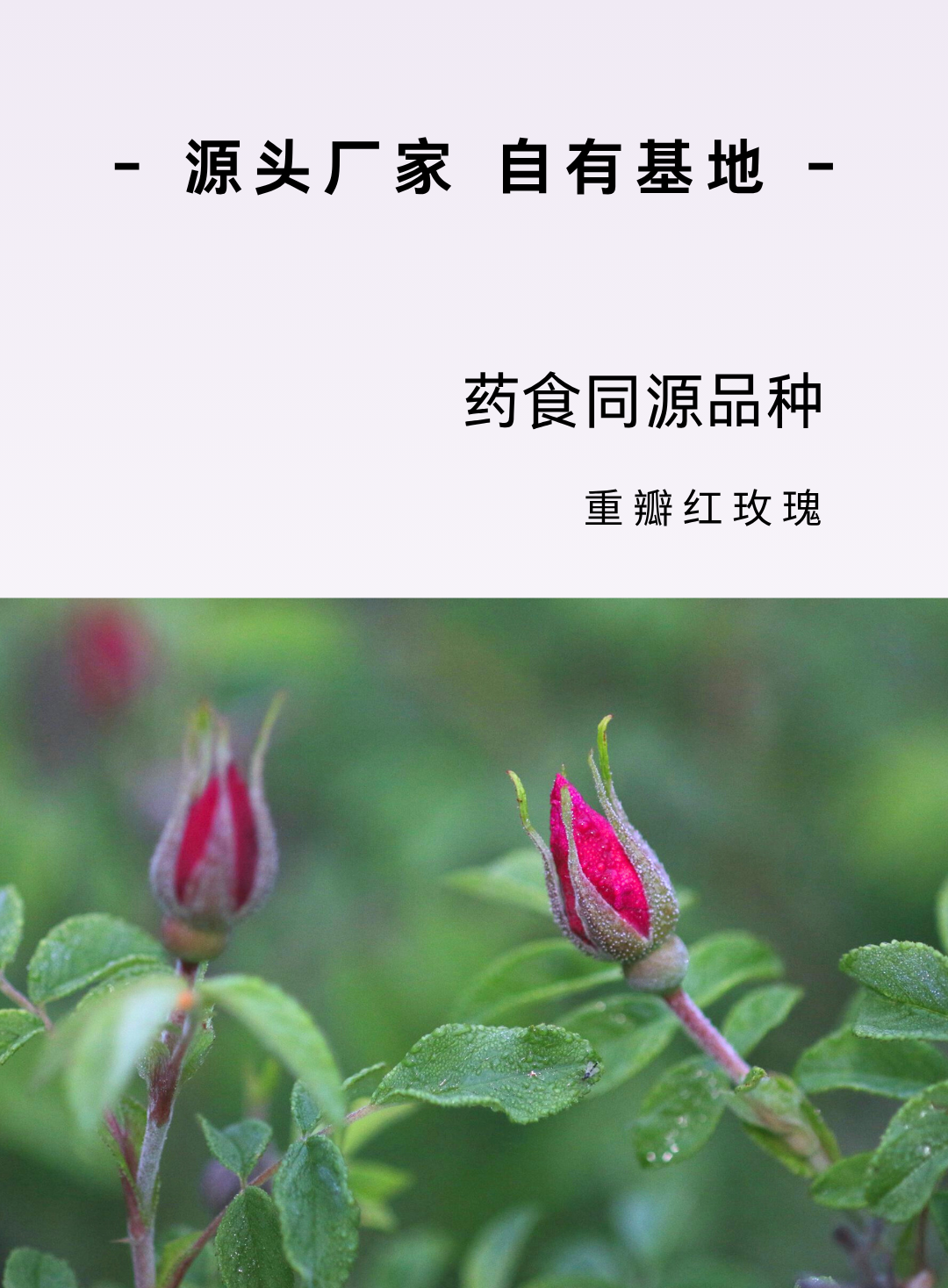 9c93a6e5098764a847babd851ec2aa3b.png