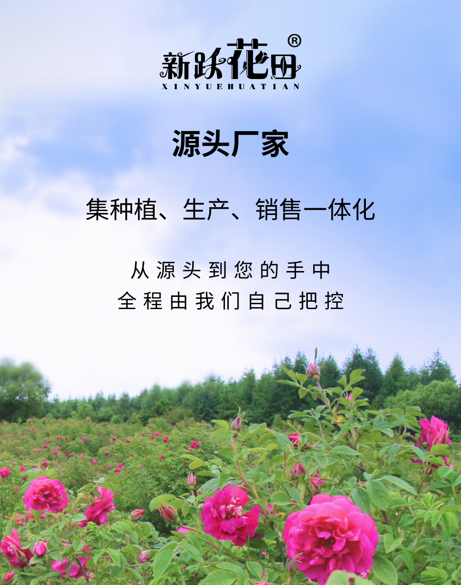 aa25b852efab10d99523aef5a3cd6e38.png