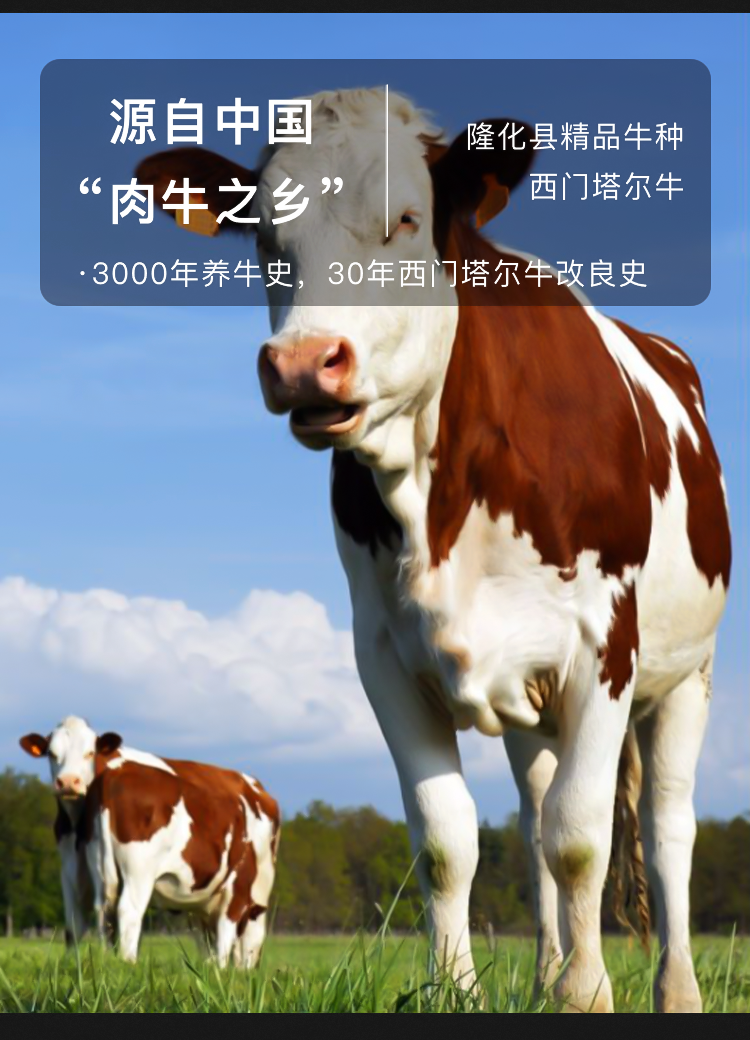 10da3c7cda4da553d0fd1e77560a5939.png