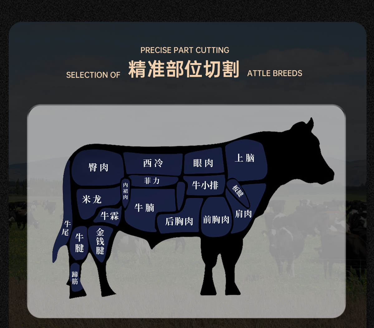 bced19d3178cb00f9c7f3b9e1b72c7f0.jpg