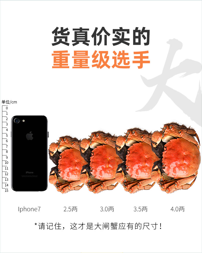 1ed1de3d9bf39b0104206449eac9d21b.jpg