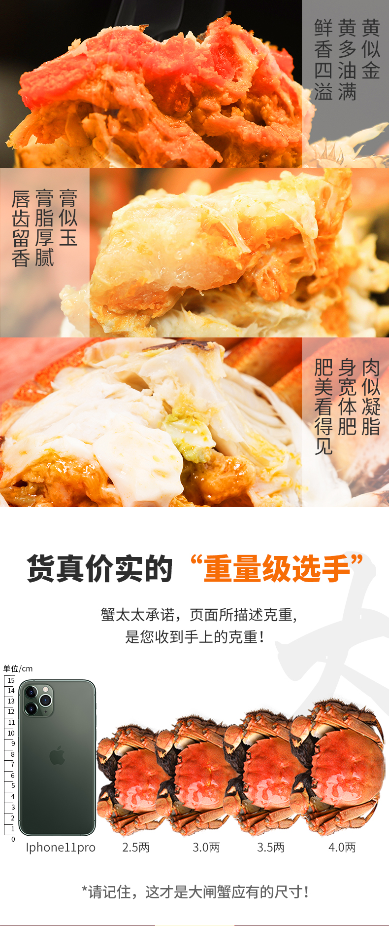 cde10536e813d9dcbb4ad01e667b848a.jpg